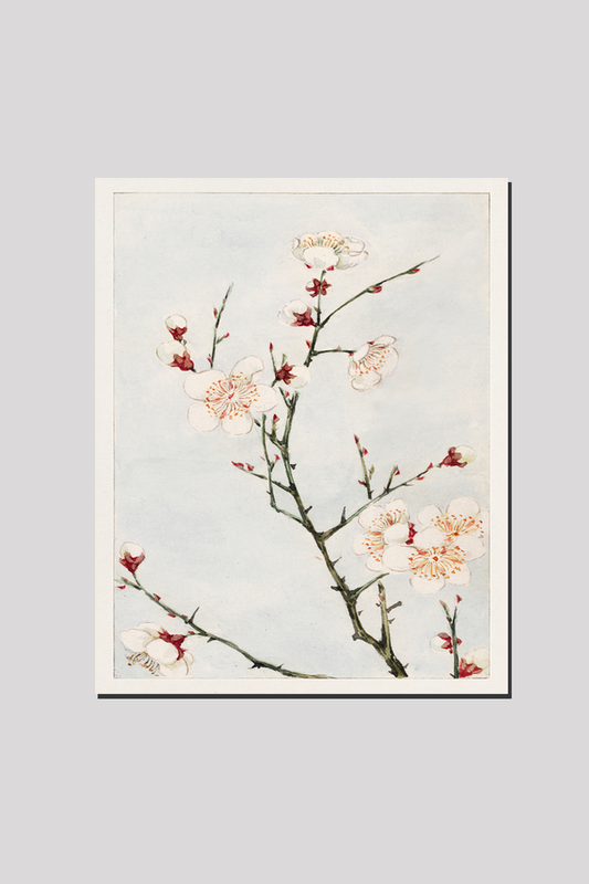 Plum branches with blossoms during 1870–1880 by Megata Morikaga.