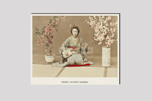 Geisha Playing Samisen, hand–colored albumen silver print from Japan. Described and Illustrated by the Japanese (1897) by Kazumasa Ogawa.
