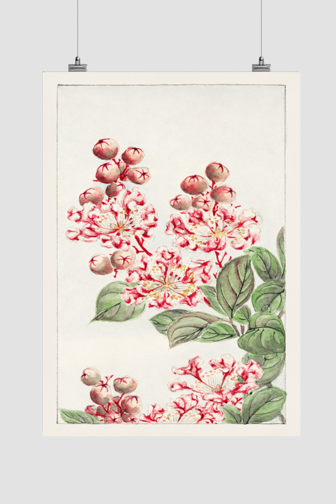 Sarusubi blossoms during 1870–1880 by Megata Morikaga