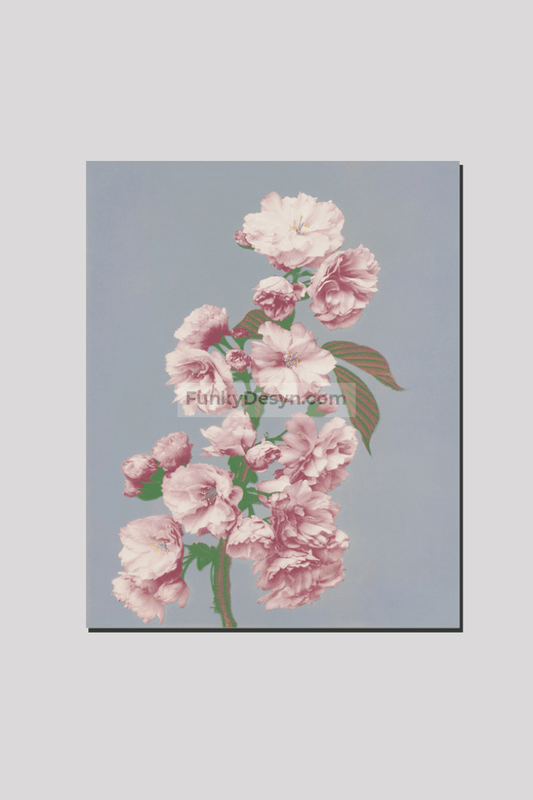 Beautiful photomechanical prints of Cherry Blossom (1887–1897) by Ogawa Kazumasa.