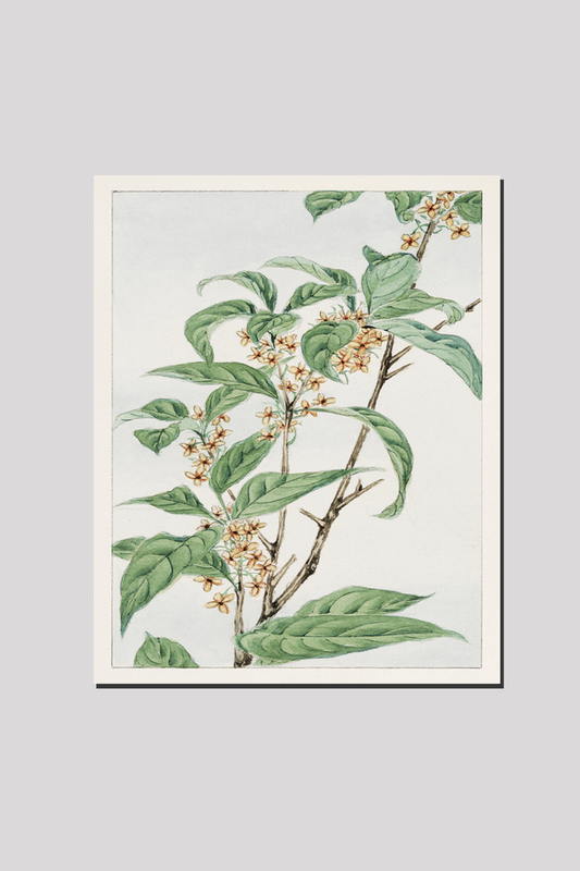 Stem with leaves and small flowers during 1870–1880 by Megata Morikaga