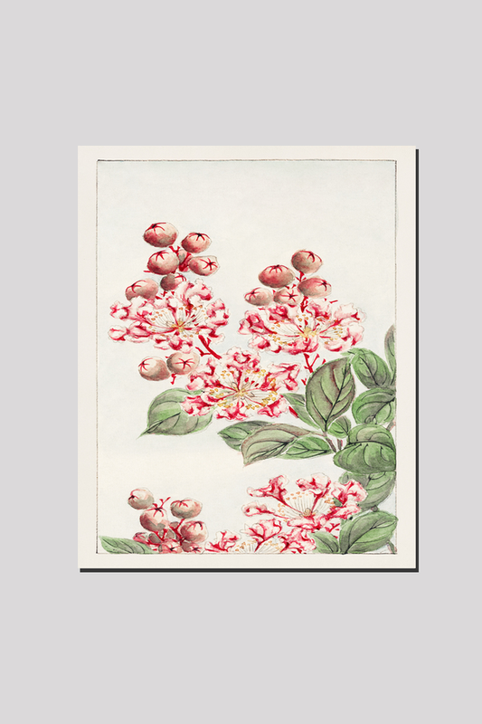 Sarusubi blossoms during 1870–1880 by Megata Morikaga