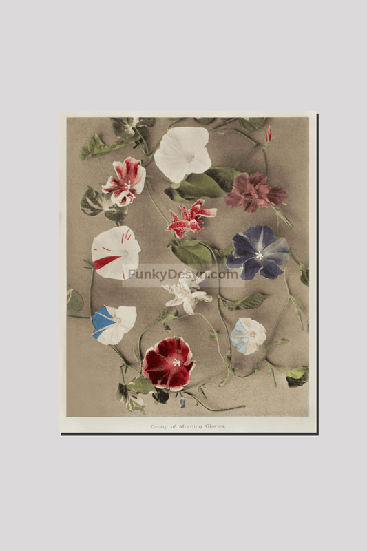 Group of Morning Glories, hand-colored collotype from Some Japanese Flowers (1896) by Kazumasa Ogawa.