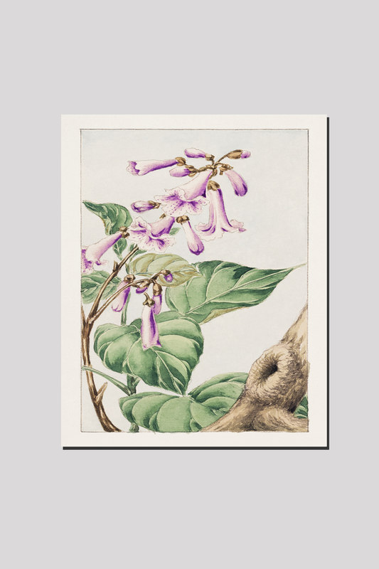 Kiri branch with flowers and leaves during 1870–1880 by Megata Morikaga