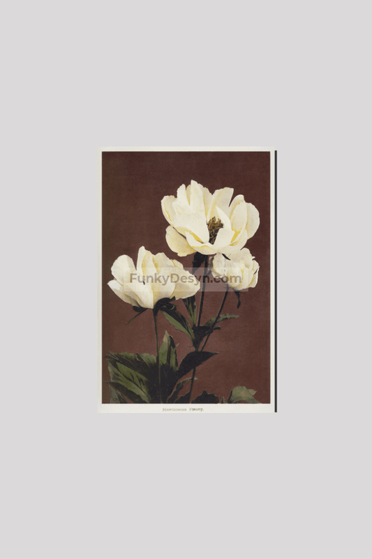 Hærdaceous Peony, hand–colored collotype from Some Japanese Flowers (1896) by Kazumasa Ogawa