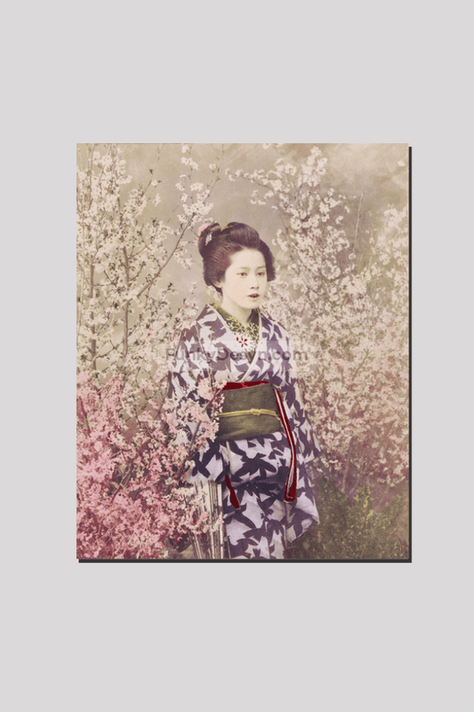 Beautiful photomechanical prints of a Geisha and Cherry Blossom (1887–1897) by Ogawa Kazumasa