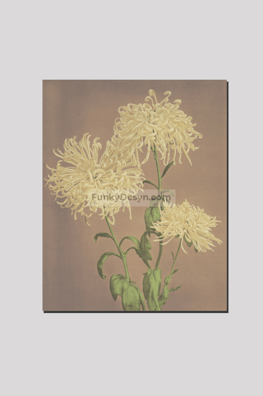 Beautiful photomechanical prints of Three Yellow Chrysanthemums (1887–1897) by Ogawa Kazumasa
