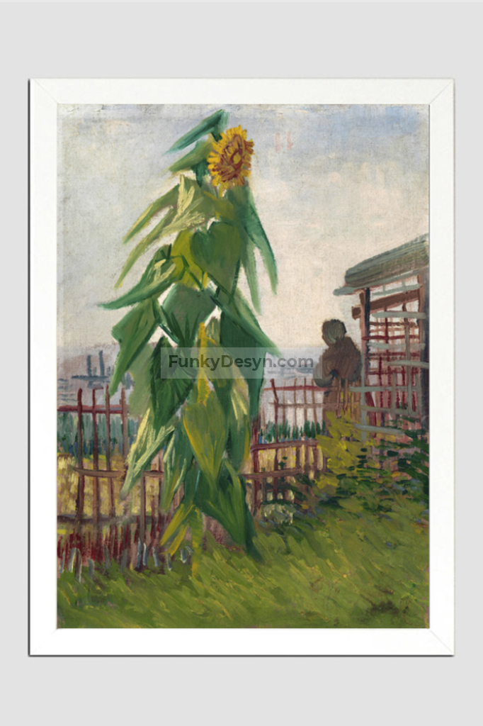 Vincent Van Goghs Allotment With Sunflower (1887) 11.7X16.54 Inches/ White Framed Poster