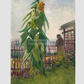 Vincent Van Goghs Allotment With Sunflower (1887) 11.7X16.54 Inches/ Rolled Poster
