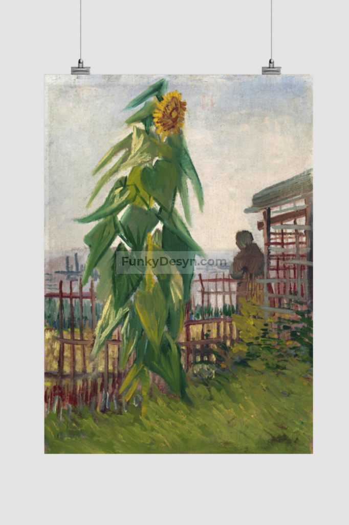 Vincent Van Goghs Allotment With Sunflower (1887) 11.7X16.54 Inches/ Rolled Poster