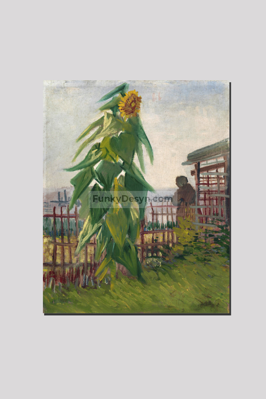 Vincent Van Goghs Allotment With Sunflower (1887) 16X20 Inches/ Wrapped Canvas