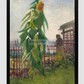Vincent Van Goghs Allotment With Sunflower (1887) 11.7X16.54 Inches/ Black Framed Poster