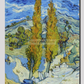 The Poplars At Saint-Rémy (1889) By Vincent Van Gogh. 20X30 Inches/ Wrapped Canvas