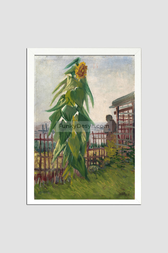 Vincent Van Goghs Allotment With Sunflower (1887) 8.3X11.7 Inches/ White Framed Poster