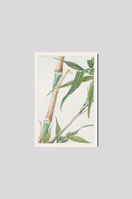 Japanese Bamboo during 1870–1880 by Megata Morikaga