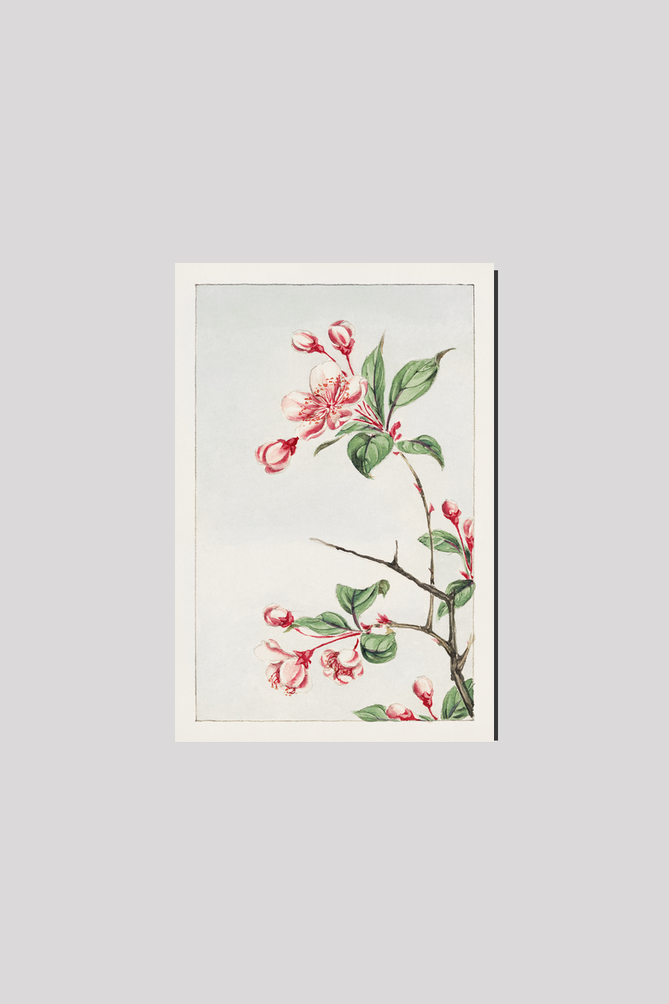 Kaido pyrus spectabalis during 1870–1880 by Megata Morikaga