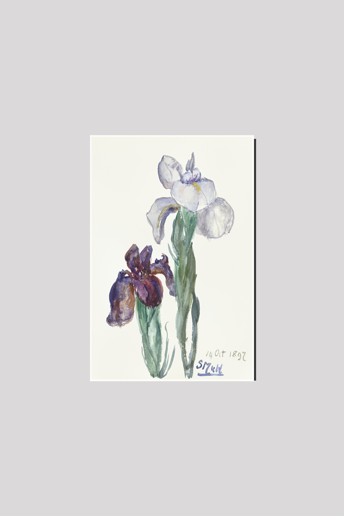 Irises (1897) by Sientje Mesdag-van Houten.