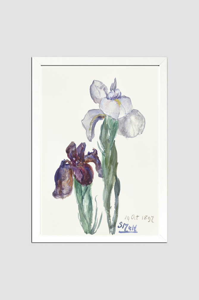 Irises (1897) by Sientje Mesdag-van Houten.