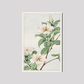 Kuchi nashi (cape jasmine) during 1870–1880 by Megata Morikaga