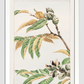 Shi during 1870–1880 by Megata Morikaga