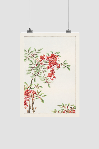 Nandina bush with berries during 1870–1880 by Megata Morikaga