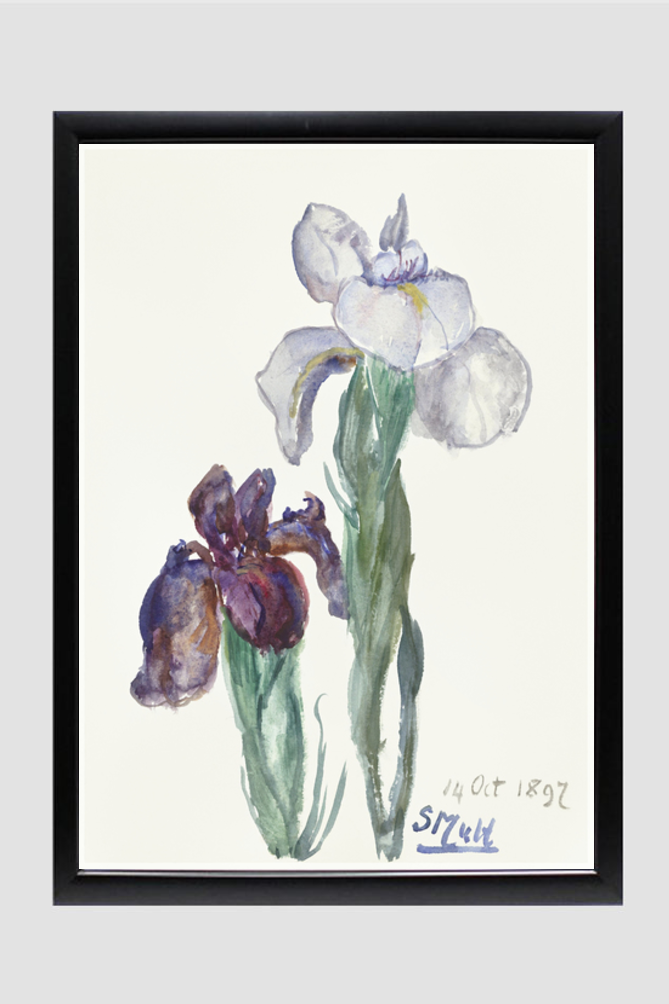 Irises (1897) by Sientje Mesdag-van Houten.