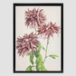 Beautiful photomechanical prints of Three Pink Chrysanthemum (1887–1897) by Ogawa Kazumasa