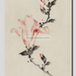 Large Pink Blossom on a Stem with Three Additional Buds by Katsushika Hokusai