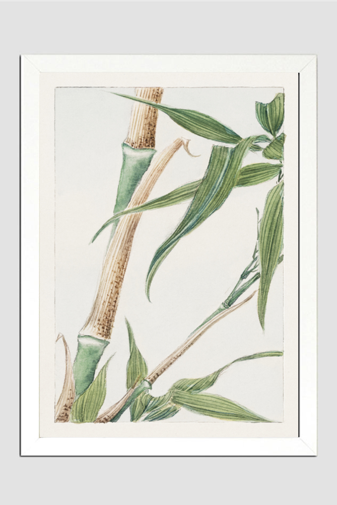 Japanese Bamboo during 1870–1880 by Megata Morikaga