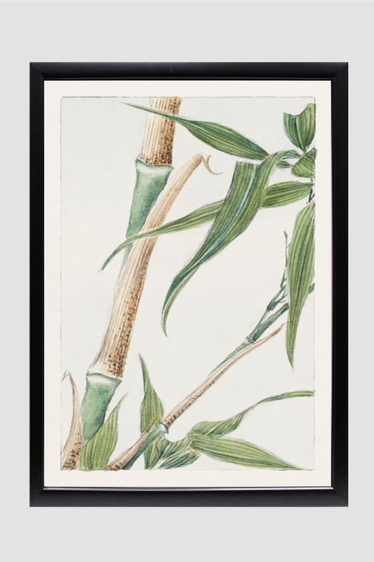 Japanese Bamboo during 1870–1880 by Megata Morikaga