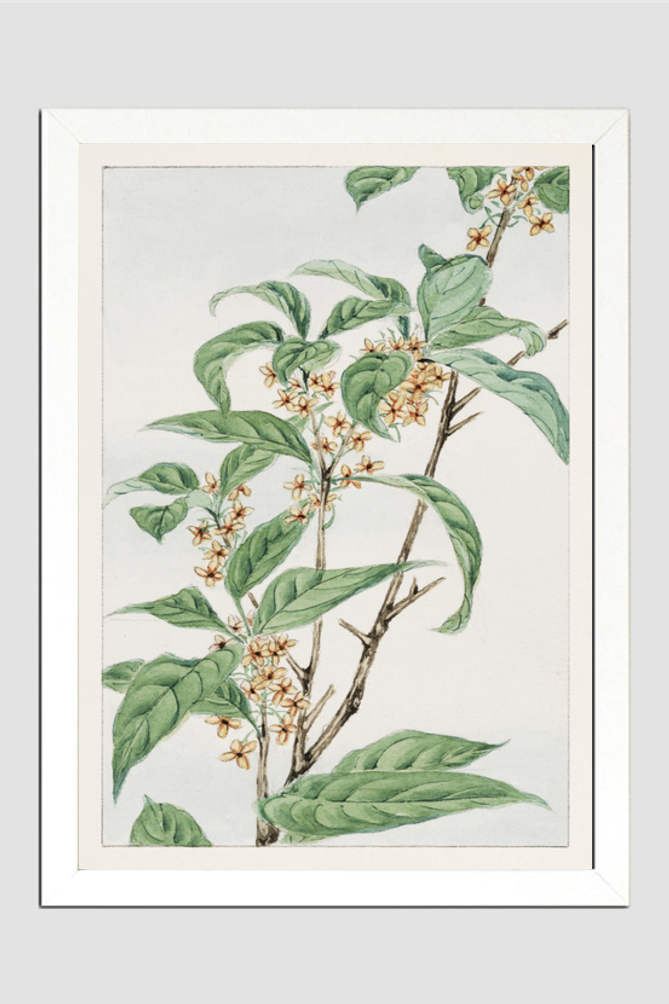 Stem with leaves and small flowers during 1870–1880 by Megata Morikaga
