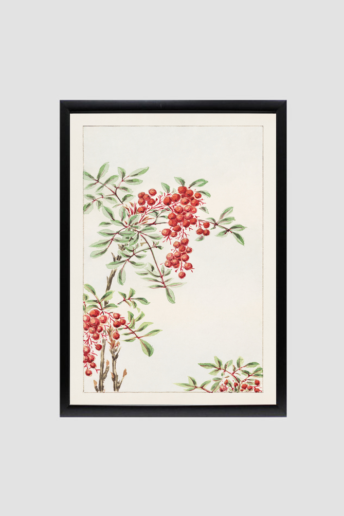 Nandina bush with berries during 1870–1880 by Megata Morikaga