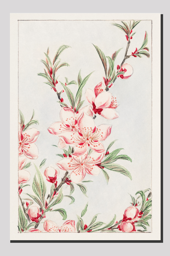 Peach tree branches with leaves and blossoms during 1870–1880 by Megata Morikaga