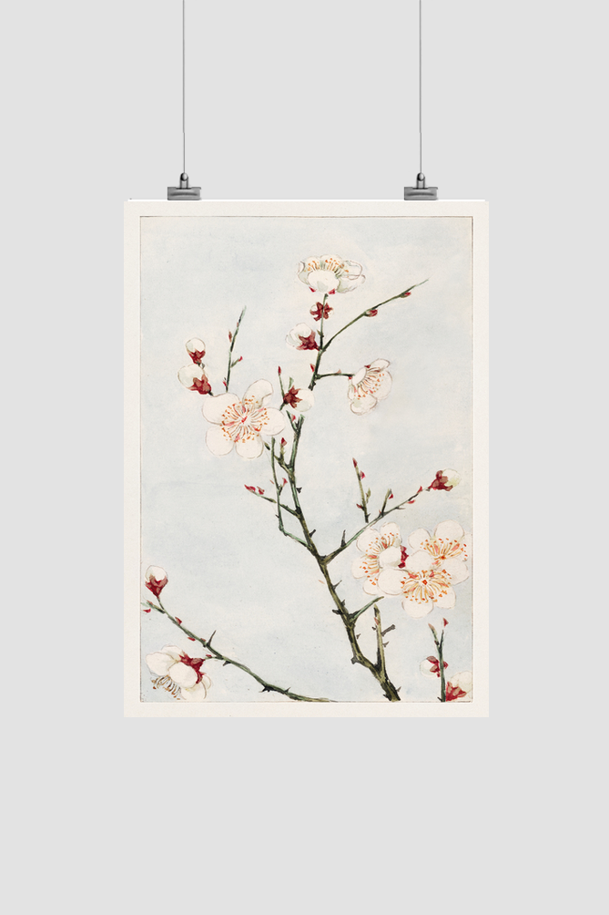 Plum branches with blossoms during 1870–1880 by Megata Morikaga.