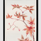 Branch of Momiji maple tree with leaves and seeds during 1870–1880 by Megata Morikaga