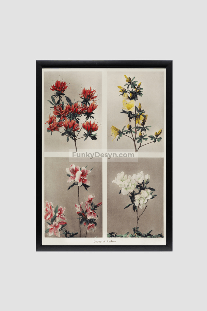 Group of Azaleas, hand–colored collotype (1896) by Kazumasa Ogawa.