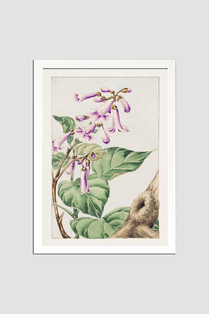 Kiri branch with flowers and leaves during 1870–1880 by Megata Morikaga