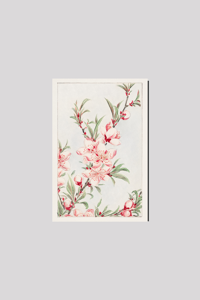 Peach tree branches with leaves and blossoms during 1870–1880 by Megata Morikaga