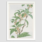 Stem with leaves and small flowers during 1870–1880 by Megata Morikaga