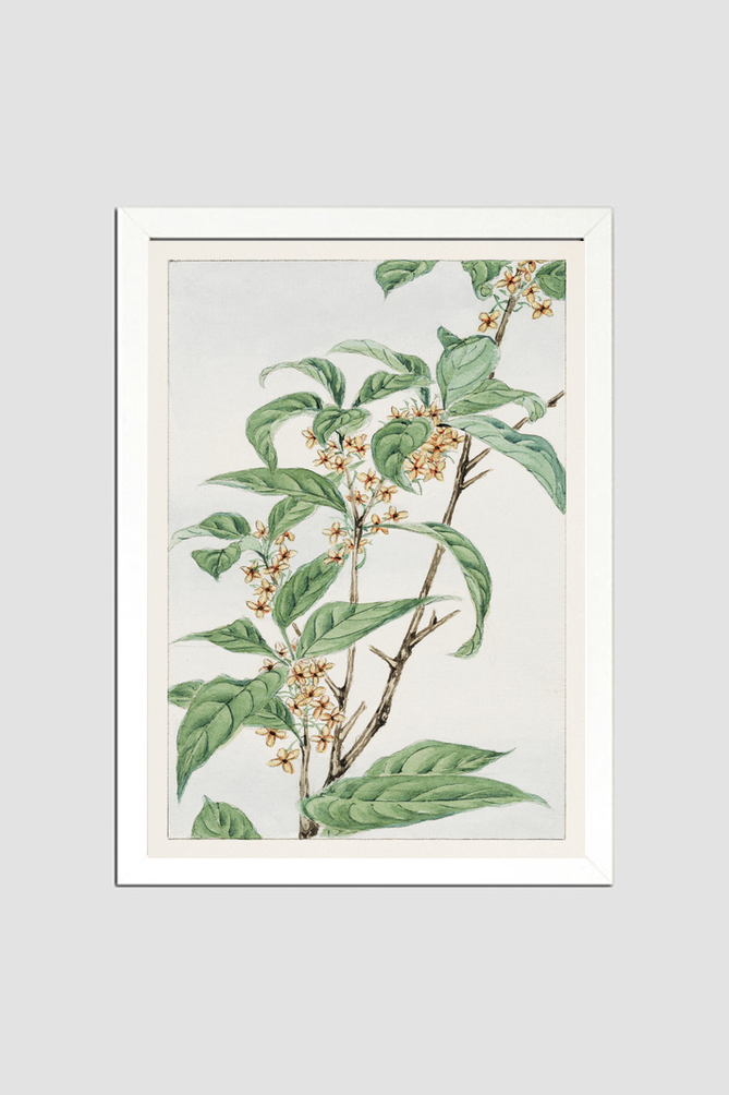Stem with leaves and small flowers during 1870–1880 by Megata Morikaga