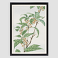 Stem with leaves and small flowers during 1870–1880 by Megata Morikaga
