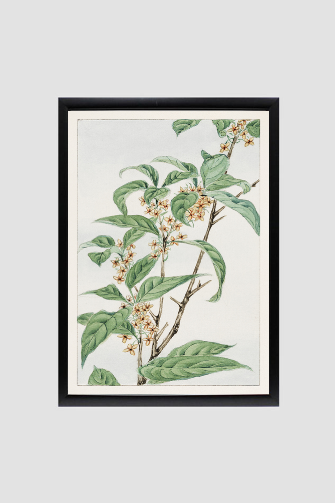 Stem with leaves and small flowers during 1870–1880 by Megata Morikaga