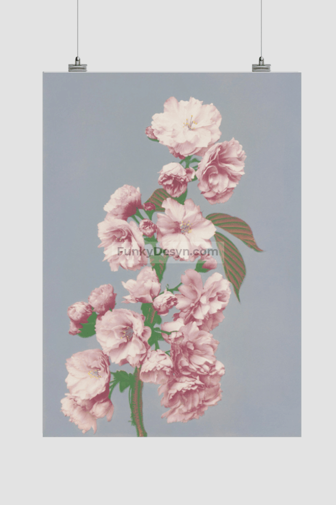 Beautiful photomechanical prints of Cherry Blossom (1887–1897) by Ogawa Kazumasa.