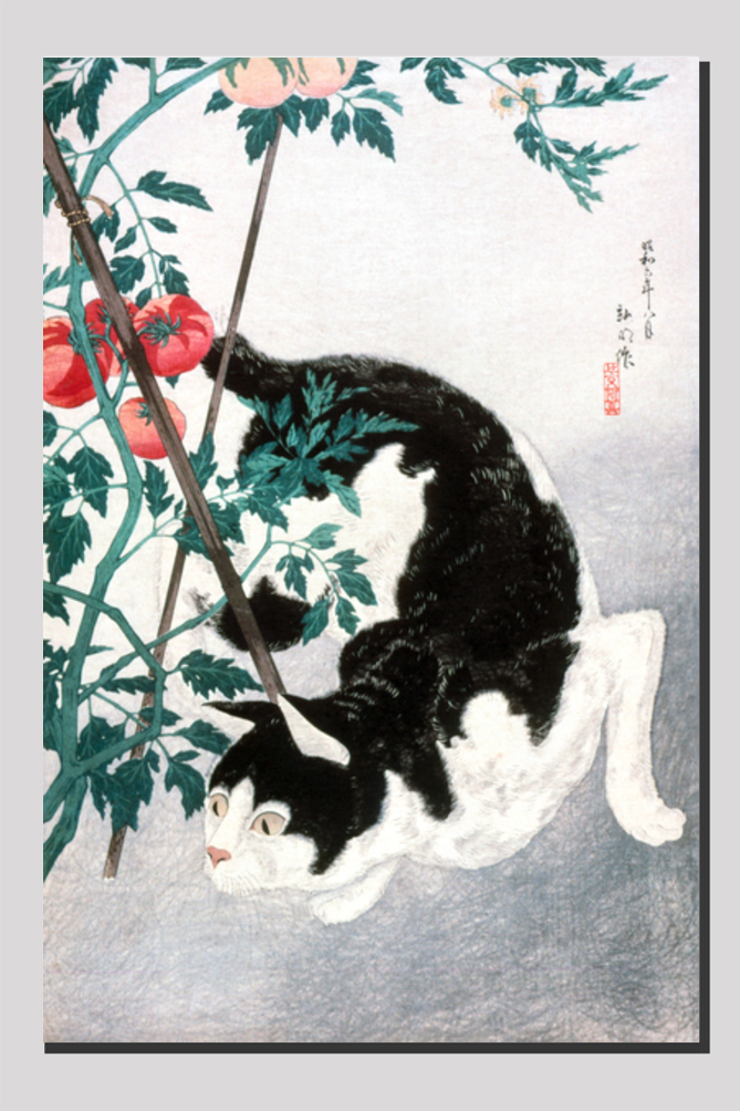 Cat with Tomato Plant (1931) by Hiroaki Takahashi (1871–1945)