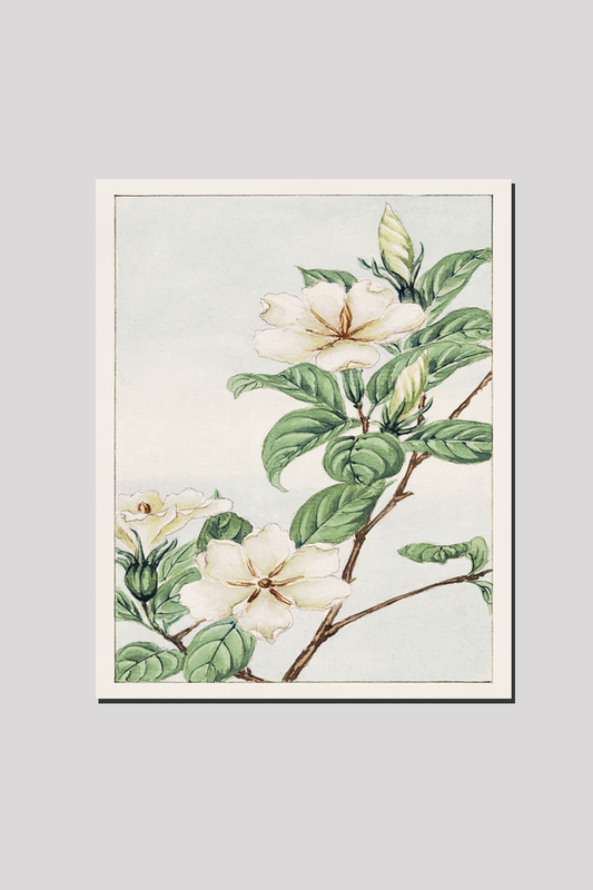Kuchi nashi (cape jasmine) during 1870–1880 by Megata Morikaga
