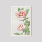 Tsubaki camelia during 1870–1880 by Megata Morikaga.