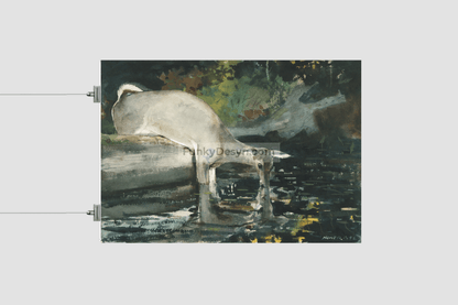 Deer Drinking (1892) by Winslow Homer