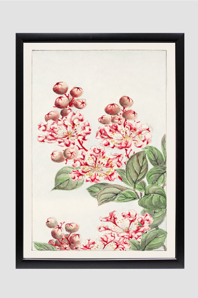 Sarusubi blossoms during 1870–1880 by Megata Morikaga