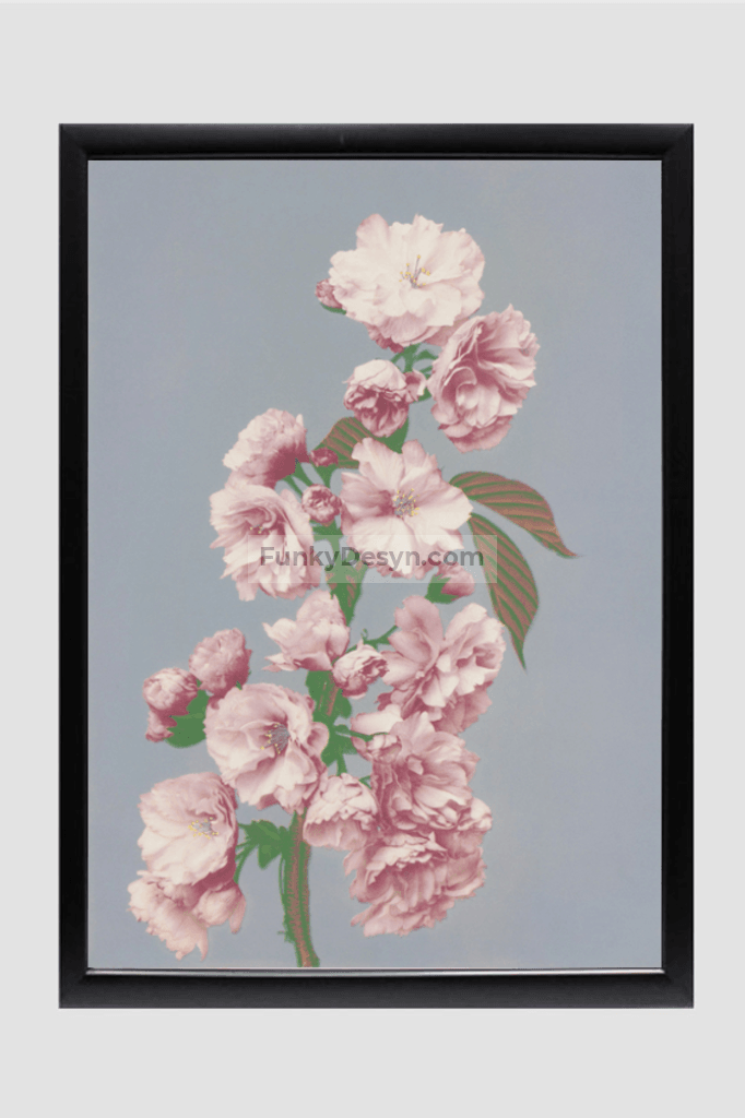 Beautiful photomechanical prints of Cherry Blossom (1887–1897) by Ogawa Kazumasa.