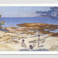 Beach at Cabasson (1891–1892) painting in high resolution by Henri-Edmond Cross
